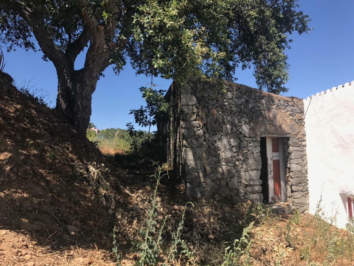 蒙希克 Casa Da Nave旅馆 外观 照片